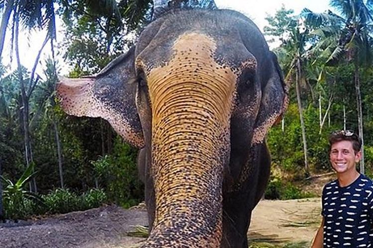 elphie, elephant selfie