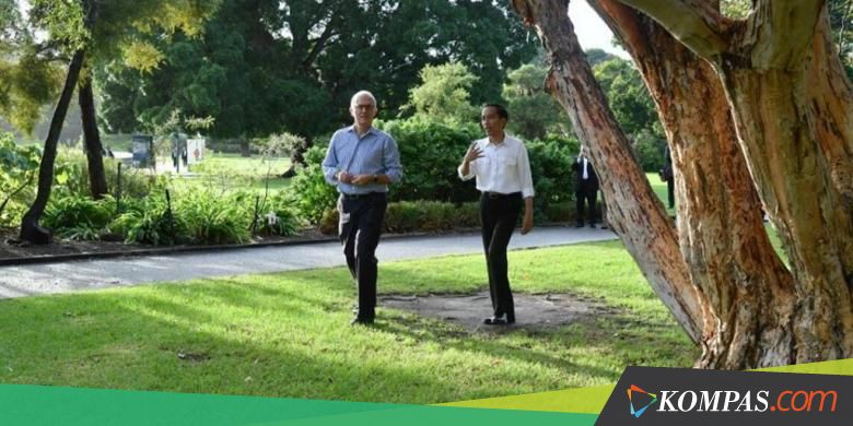 Diplomasi Jalan Pagi ala Presiden Jokowi dan PM Turnbull