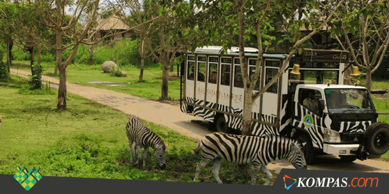 1855347 bali safari and marine park 620X310