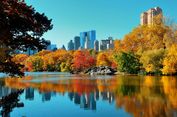 Lima Fakta Menarik Central Park New York, Panutan Sandiaga untuk Monas