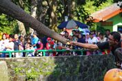 Libur Tahun Baru, Ribuan Pengunjung Datangi Ragunan Sejak Pagi