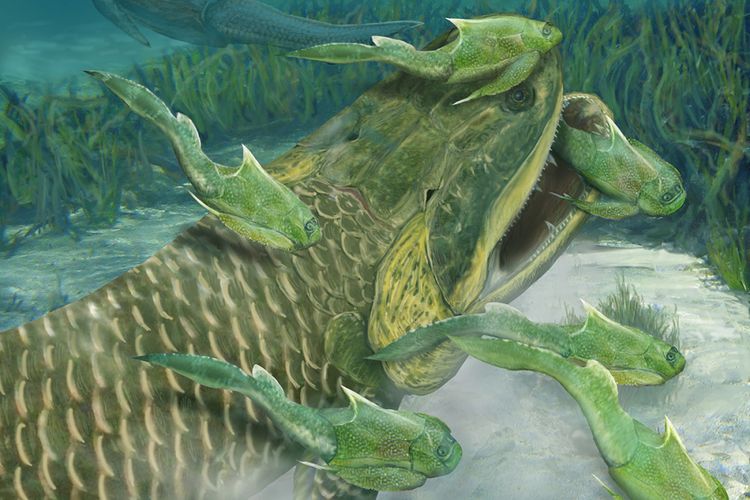 Fosil Ikan Aneh Tulis Ulang Sejarah Evolusi Hewan Berkaki Empat