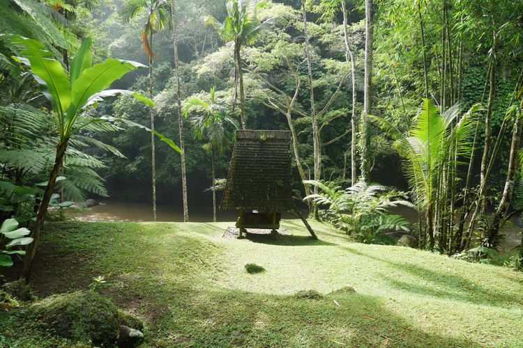 Tempat untuk melakukan aktvitas outdoor seperti olahraga, estate walk, renang, hingga piknik di Como Shambhala Estate, Bali, Sabtu (16/12/2017).