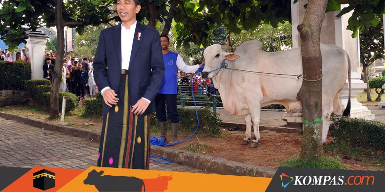 Jokowi Minta, Jangan Gara-gara Pilkada Jadi Pecah dengan Tetangga