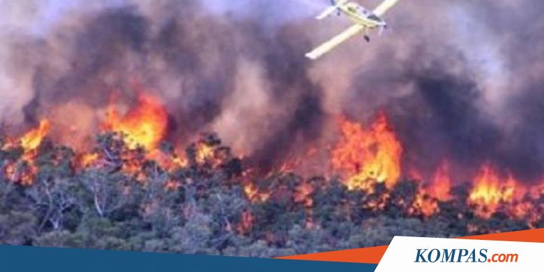 California Dilanda Kebakaran Besar, 10 Orang Tewas