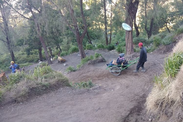 Pengojek atau supir supir taksi mengantarkan wisatawan menuruni jalur pendakian Gunung Ijen, Jawa Timur (9/9/2017). Pengojek atau supir taksi itu akan mengantarkan wisatawan menggunakan gerobak.(KOMPAS.com / WAHYU ADITYO PRODJO)