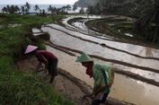 Menyayangi dan Menyayangkan Desa