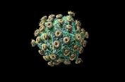 Vaksin Dikembangkan, Harapan Baru Perangi HIV