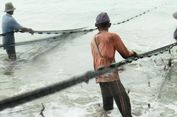 Nelayan Trenggalek Nikmati Melimpahnya Tangkapan Ikan