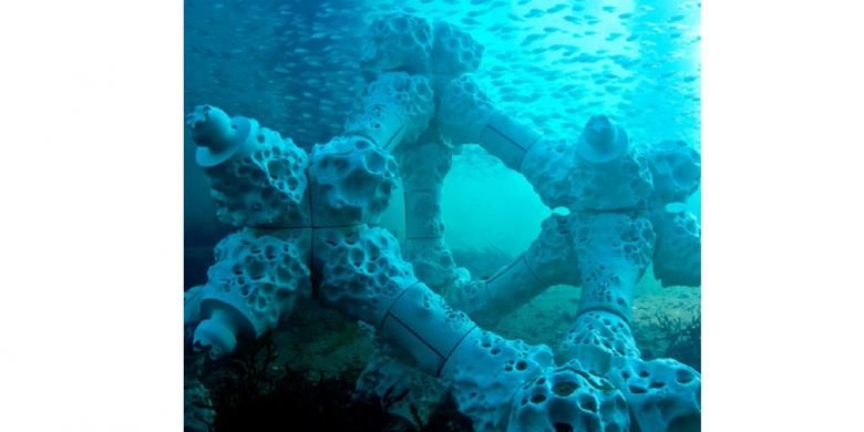 Ilustrasi terumbu karang.