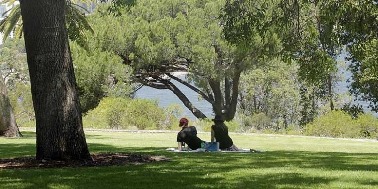 Dua sejoli yang menjalin kasih tengah menikmati padang rumput di taman Kings Park and Botanic Garden, di kota Perth, Australia Barat.