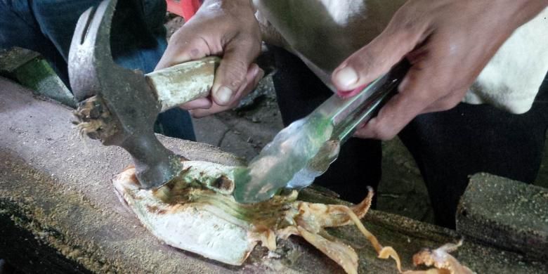 Sotong yang dipukul (pangkong) menggunakan palu supaya lebih empuk saat dikunyah.