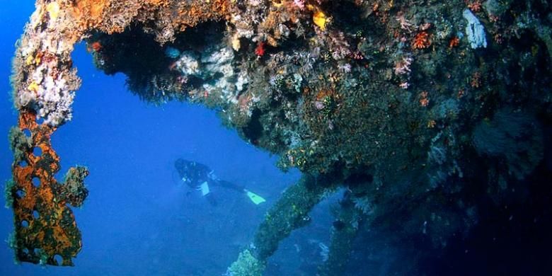 Terumbu karang tampak menutupi sejumlah besar bagian luar kapal Mawali yang terdampar di dasar laut perairan Selat Lembeh.(KOMPAS/LASTI KURNIA)