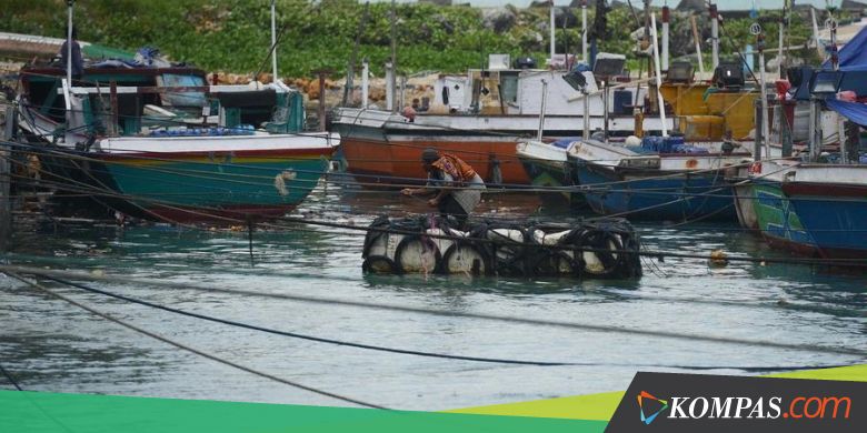 Angkut 3 Ton Ikan Tanpa Dokumen, Nahkoda Ini Ditangkap Polisi