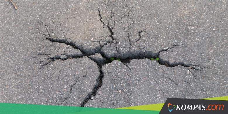 Minggu Pagi, Gempa Bumi Guncang 2 Kabupaten di NTT