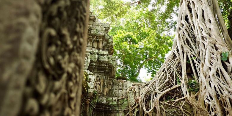 Kuil Ta Prohm di Kamboja.