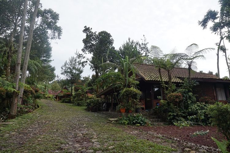 Terdapat banyak pilihan penginapan di kawasan wisata Gunung Bunder.