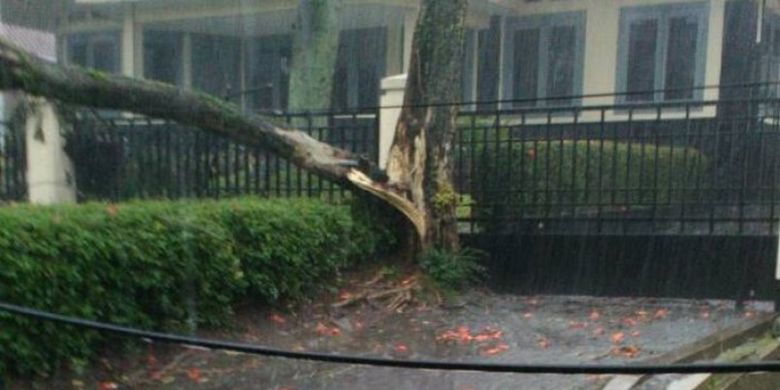 Pohon nyaris tumbang akibat hujan deras disertai angin kencang terjang kawasan Dago, Bandung, Jawa Barat, Rabu (19/4/2017).