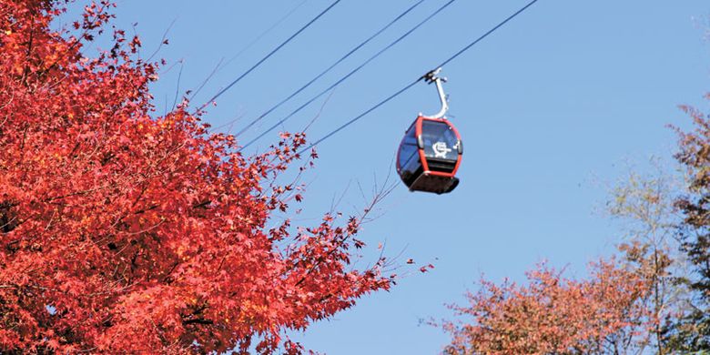Kobe Nunobiki Herb Garden. Taman yang bisa dijangkau dengan 5 menit jalan kaki dari stasiun Shin-Kobe ini terkenal dengan atraksi kereta gantungnya.