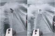 Seret Hiu Pakai 'Speedboat', Tiga Pria di AS Ditangkap Polisi