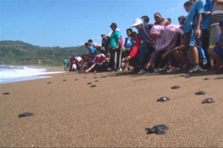 Upacara ucul-ucul diselenggarakan setiap Oktober di Pantai Kili-kili, Kabupaten Trenggalek. Dalam upacara itu, seribu ekor tukik dilepaskan ke pantai.