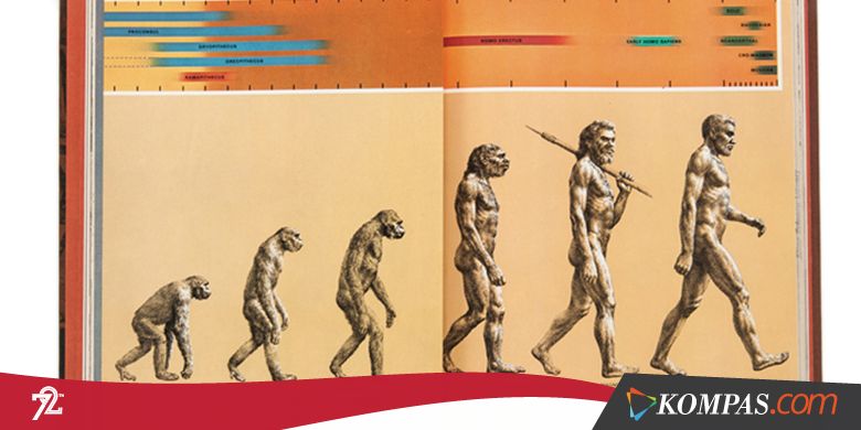 Jangan Ditanyakan Lagi, Ini Alasan Kera Tidak Berevolusi Jadi Manusia