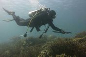 Kronologi Hilangnya Wisatawan Swedia di Perairan Pulau Komodo