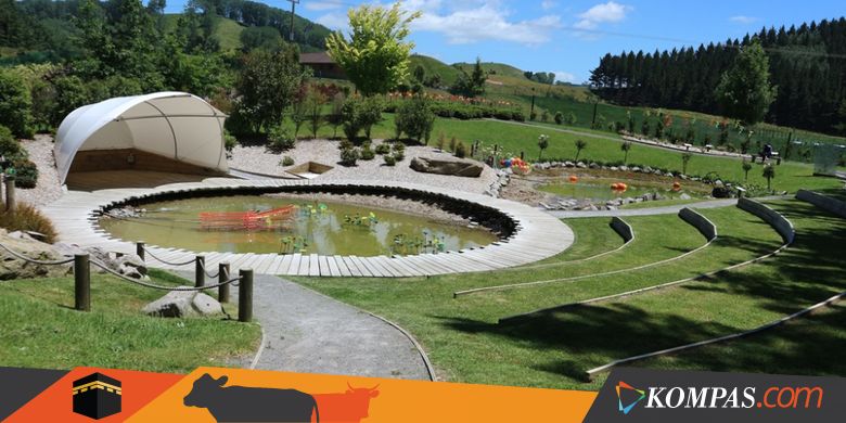 Urus Visa Selandia Baru Kini Lebih Cepat dan Mudah