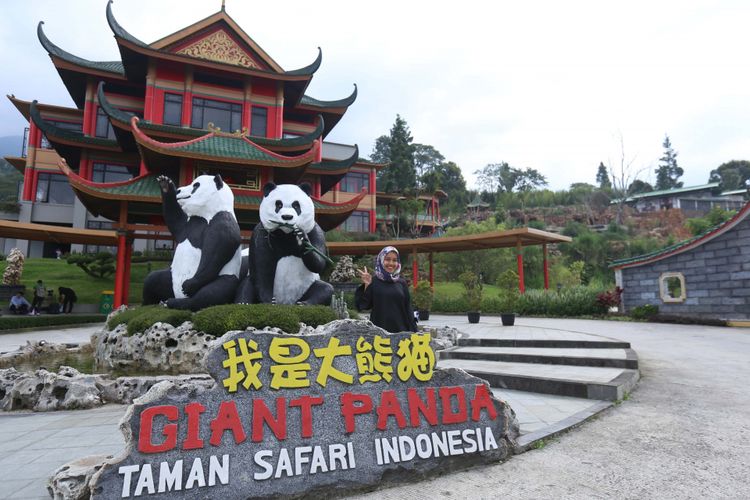 Serunya Menengok Panda, Hewan Menggemaskan di Taman Safari Serunya Menengok Panda, Hewan Menggemaskan di Taman Safari video viral info traveling info teknologi info seks info properti info kuliner info kesehatan foto viral berita ekonomi