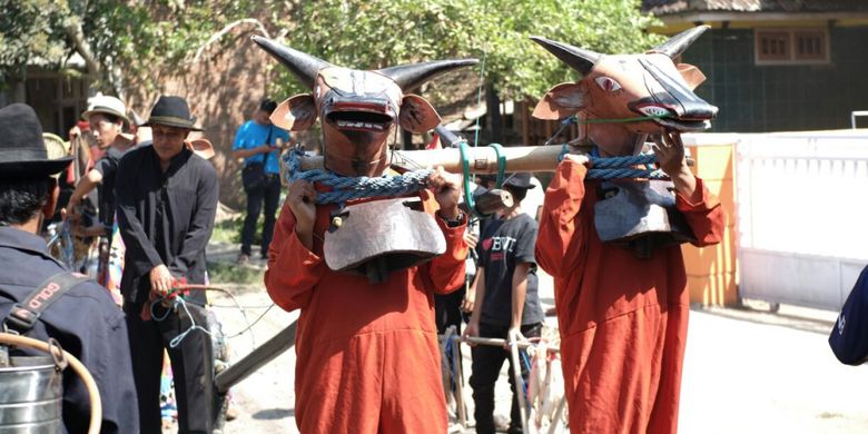Tradisi Sapi-sapian di Desa Kenjo Banyuwangi.
