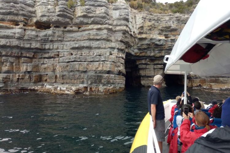 Perahu yang dipadati wisatawan itu tengah menuju gua laut sebagai bagian dari Tasman Island Cruise.