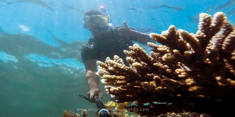 Selfie di Terumbu Karang Pulau Kelapan, Bangka Selatan, Provinsi Bangka Belitung.(TIC Bangka Selatan)