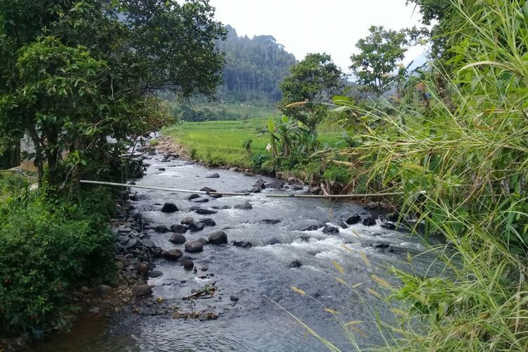 Potensi wisata air dan potensi pembangkit listrik mikro hidro di sungai Ciputri di Dusun Tangsi Jaya, Kecamatan Gunung Halu, Kabupaten Bandung Barat. 