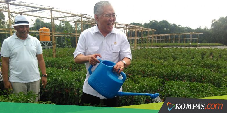 2017, Pemerintah akan Impor Gula 1 Juta Ton Lebih