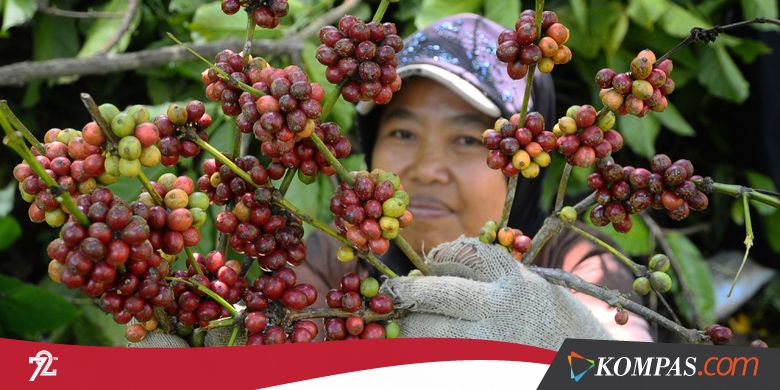 Ini Rekomendasi Kopi Terbaik Indonesia yang Harus Anda Coba