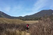 Mencari Jejak Macan Tutul dan Harimau Jawa di Bromo Tengger Semeru