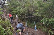 Cuaca Ekstrem, Pendakian di TN Gunung Gede Pangrango Ditutup Sementara