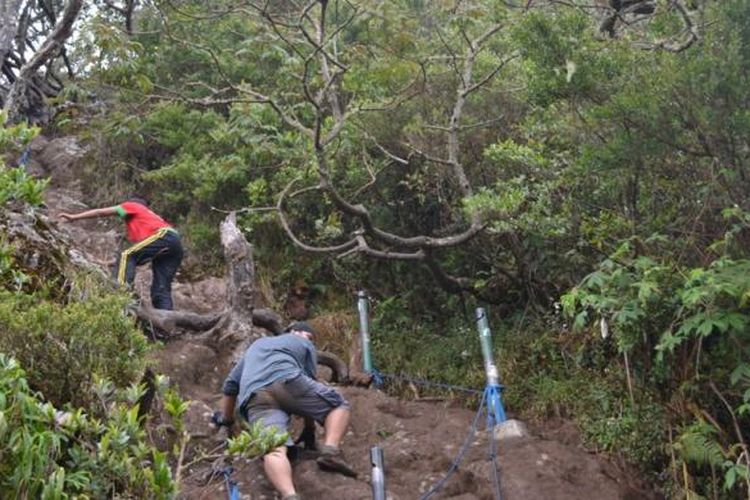 Cuaca Ekstrem Pendakian Tn Gunung Gede Pangrango Ditutup Salah Satu