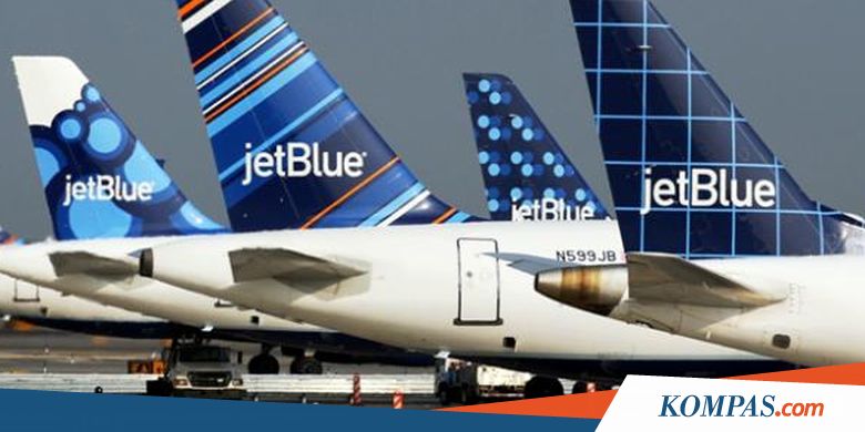 "Diserang" Burung, Pesawat JetBlue Mendarat Darurat di New York