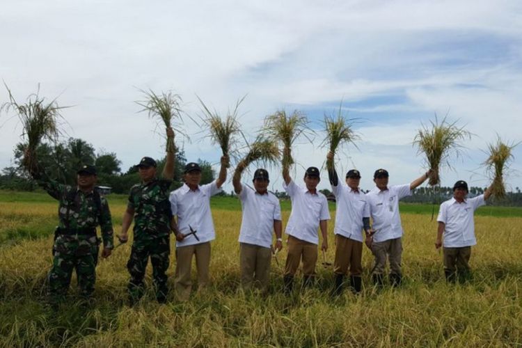 Panen padi di Popontolan, Tumpaan, Kabupaten Minahasa Selatan, Sulawesi Utara. Foto diambil pada 18 Desember 2017.