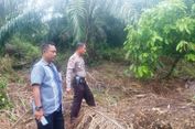 Pengusutan Kasus Gajah Mati di Aceh Terkendala Hasi   l Laboratorium