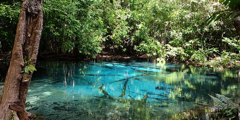 Mabuk "Vitamin Sea" di Krabi Mabuk "Vitamin Sea" di Krabi video viral info traveling info teknologi info seks info properti info kuliner info kesehatan foto viral berita ekonomi