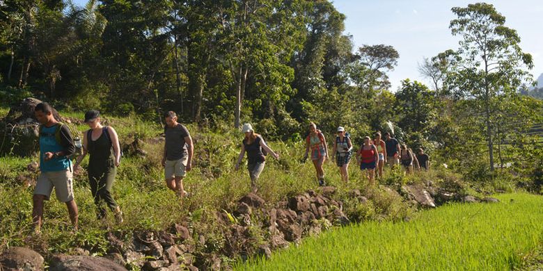 Turis Belgia menyusuri persawahan di Mbeling, Desa Gurung Liwut, Kecamatan Borong, Manggarai Timur, Flores, NTT, Senin (14/8/2017). Desa Gurung Liwut menawarkan wisata ekologi kepada turis mancanegara dan Nusantara.