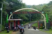 Berita Foto: Mengintip Keindahan Kebun Raya Baru di Kuningan