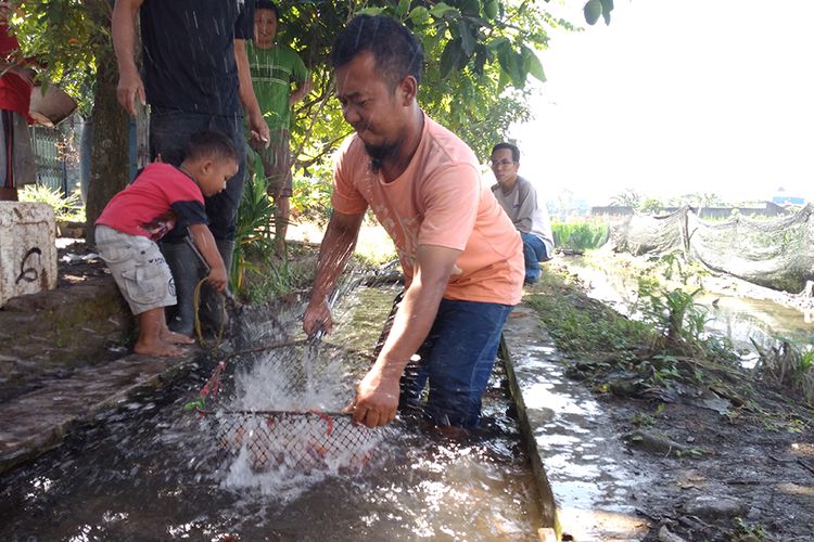 di gong ini parit sah disulap jadi berair di gong ini parit sah disulap jadi berair