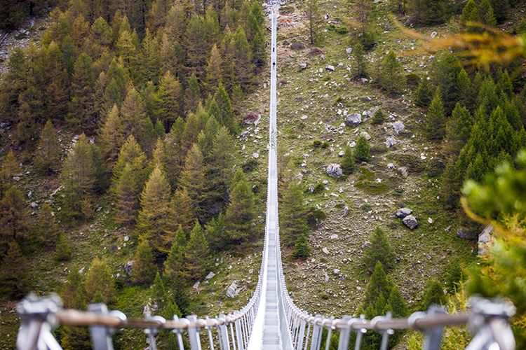 Jembatan Gantung Charles Kuonen di Pegunungan Alpen, Swiss.(Designboom)
