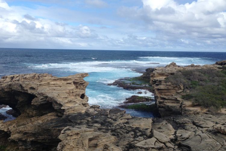 Spot untuk melihat migrasi paus di area West End, pulau Rottnest, Australia Barat, Senin (11/9/2017)