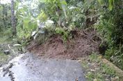 Hujan Lebat Picu Longsor dan Pohon Tumbang di Kawasan Borobudur