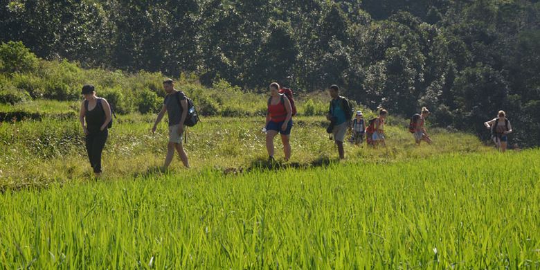Turis Belgia berjalan di pinggir sawah Mbeling dengan padi yang hijau. Turis sangat menyukai wisata ekologi yang ditawarkan warga Mbeling, Desa Gurung Liwut, Kecamatan Borong, Manggarai Timur, Flores, NTT, Senin (14/8/2017). 