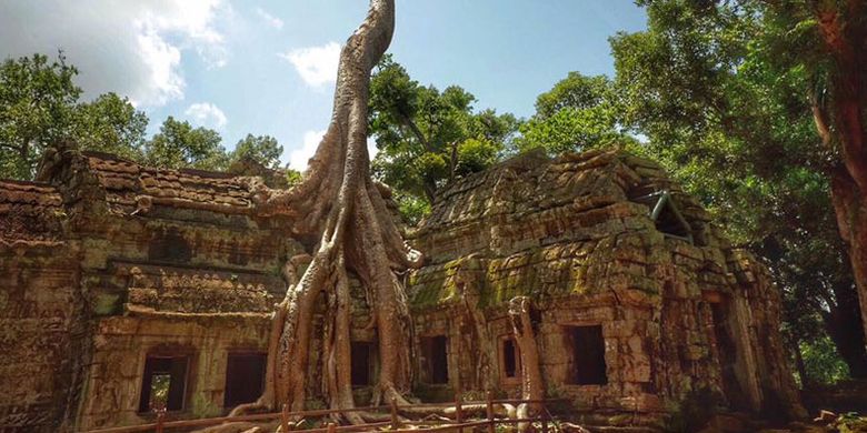 Kuil Ta Prohm di Kamboja.